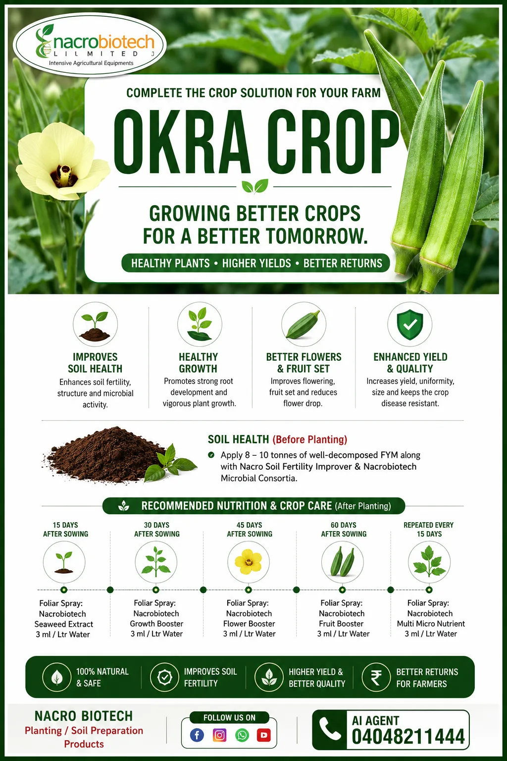 Okra