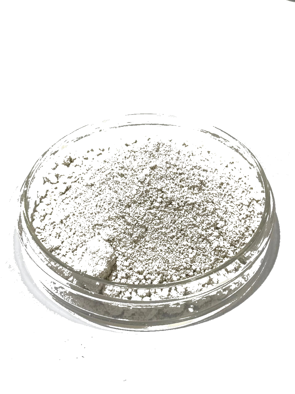 Azospirilum