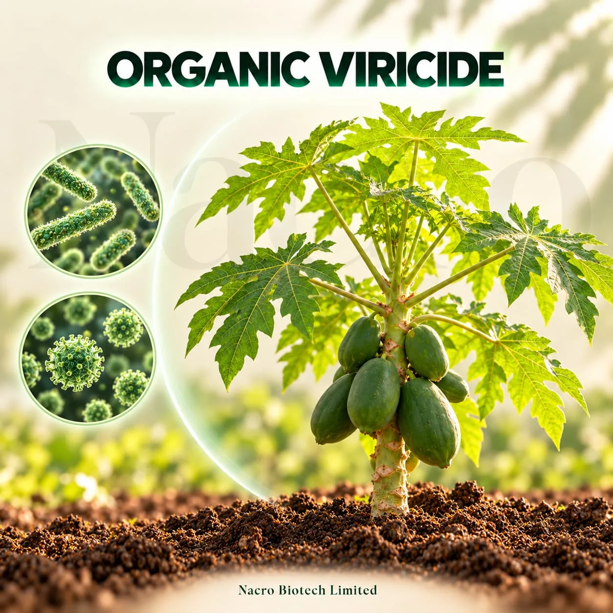 Organic Viricides