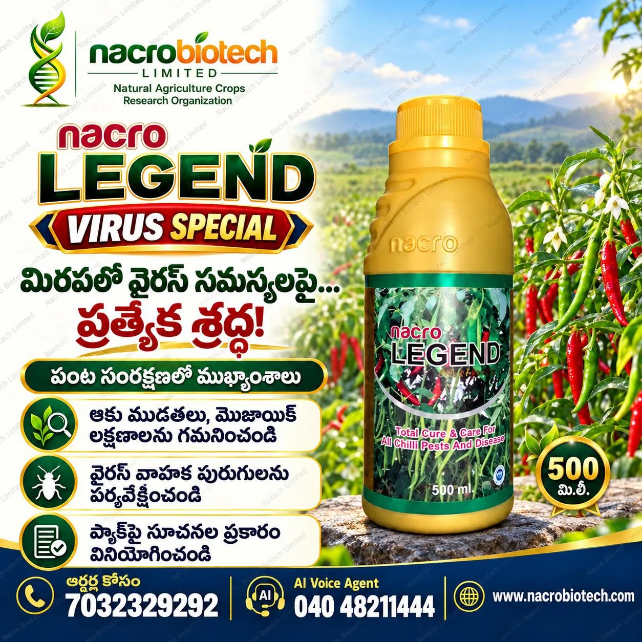🌶️ **మిరప పంటలో వైరస్ సమస్యలపై ప్రత్యేక శ్రద్ధ!**