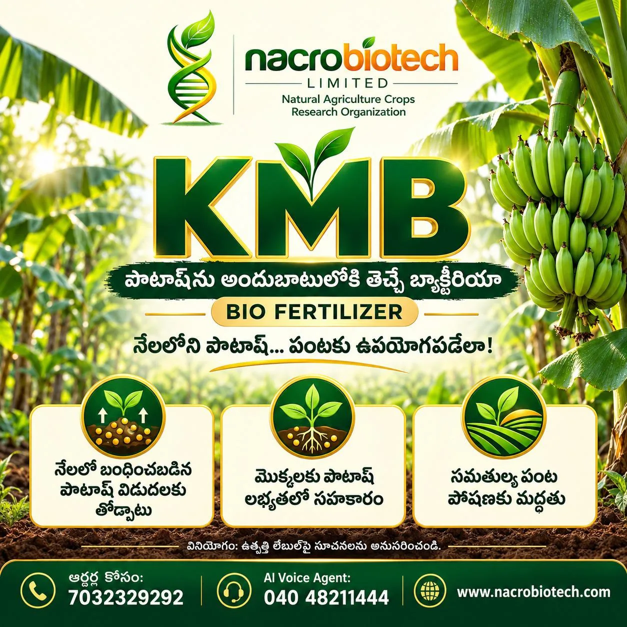 🌱 **KMB – పొటాష్ లభ్యతకు జీవ ఆధారం!****నేలలోని పొటాష్… పంటకు ఉపయోగపడేలా!*