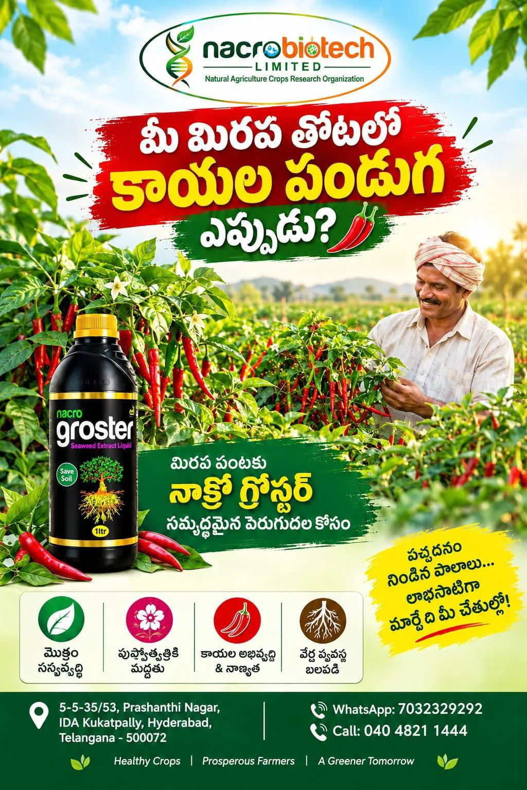 🌶️ 🌶️🌶️మీ మిరప తోటలో కాయల పండుగ ఎప్పుడు? 🌱