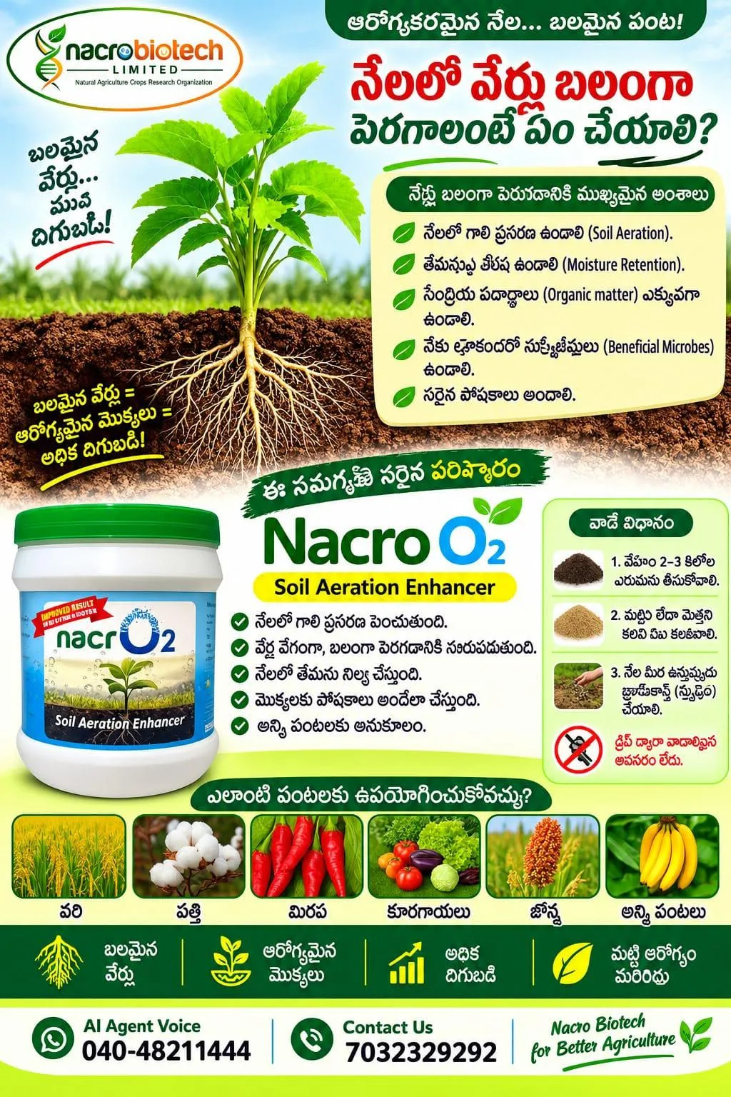 🌿🍀🌱నేలలో వేర్లు బలంగా పెరగాలంటే ఏం చేయాలి?
