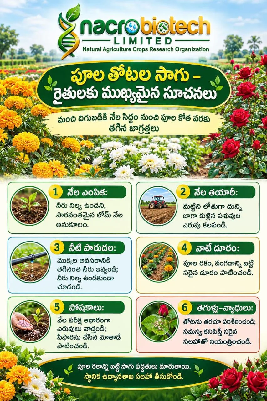 🌼 🪷🌺🌷పూల తోటల సాగు – రైతులకు ముఖ్యమైన సూచనలు🌷🪻🌺🪷
