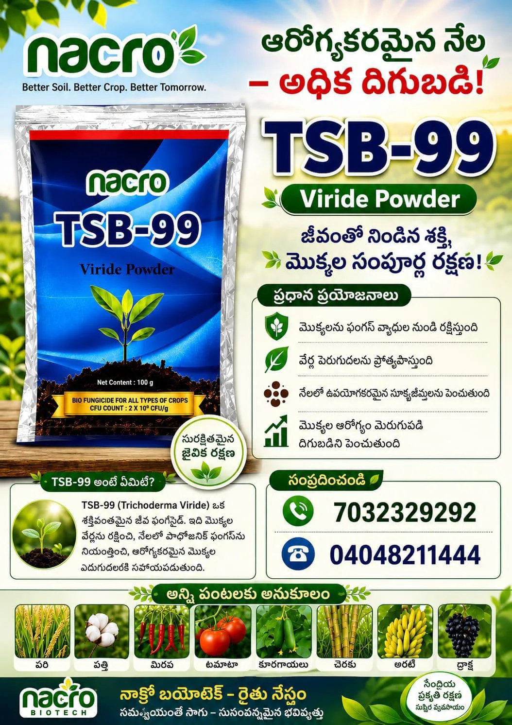 🌱🌿🍀🌱 నాక్రో TSB-99 (Viride Powder)🌿🍃🌱