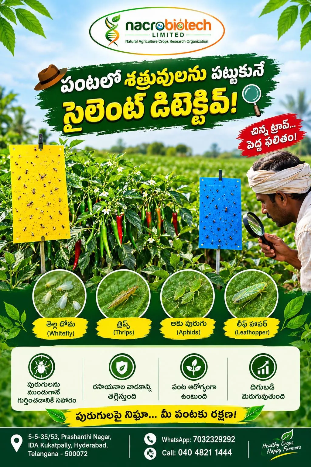 🕵️🌱 **పంటలో శత్రువులను పట్టుకునే సైలెంట్ డిటెక్టివ్!** 🪤