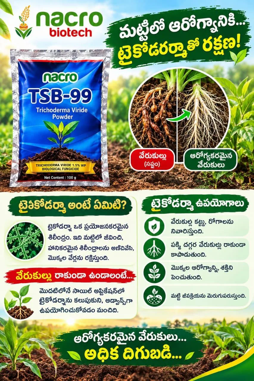 🌿🌱🍃TRICHODERMA VIRIDE 🍀☘️