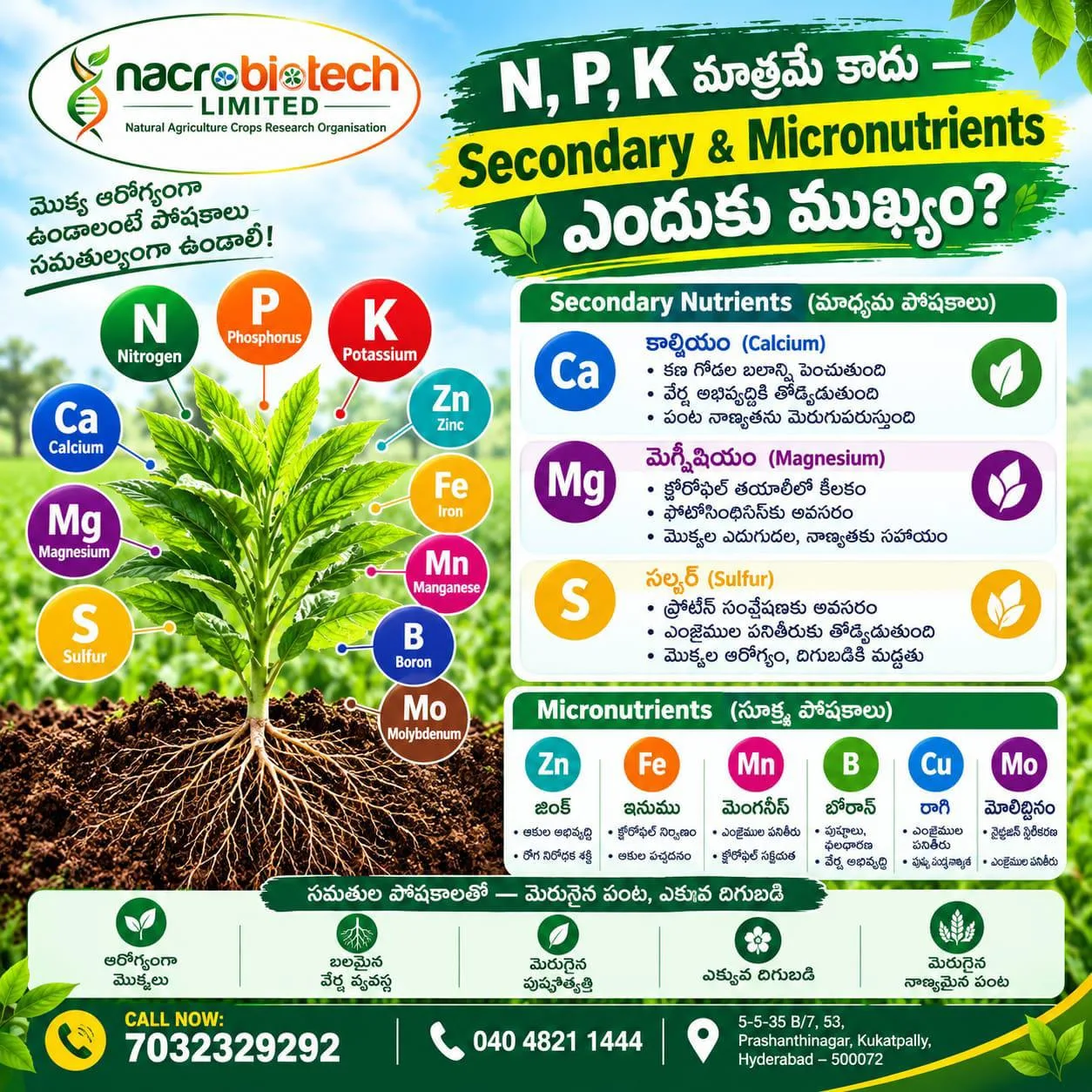 🌱N, P, K మాత్రమే కాదు — Secondary & Micronutrients కూడా పంట ఎదుగుదలకు ఎంతో అవసరం.