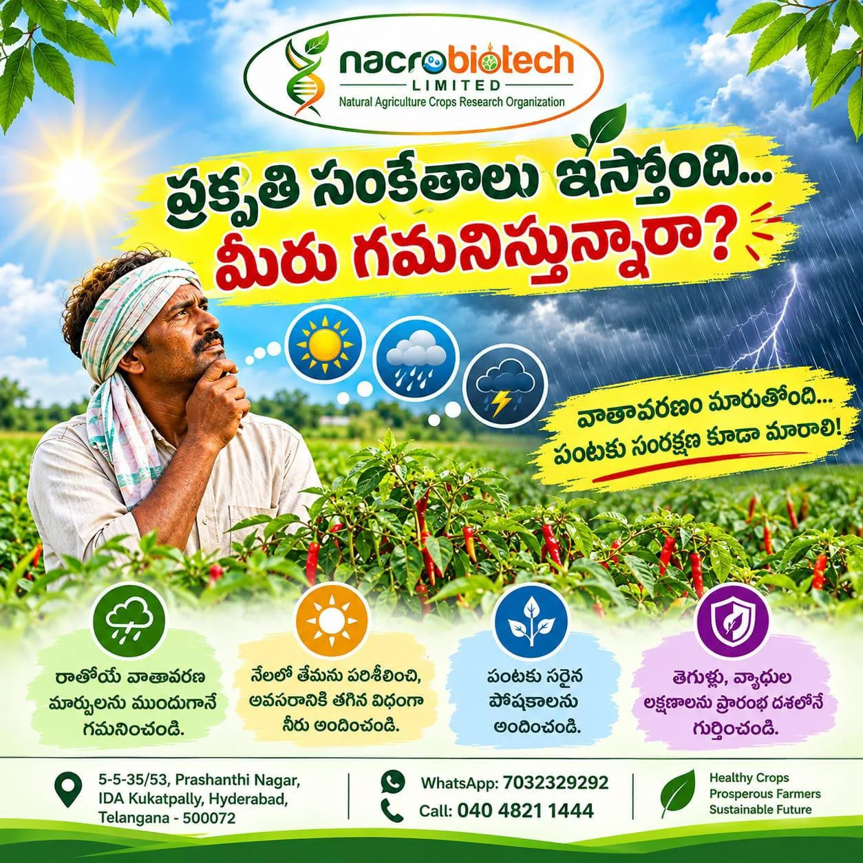 ప్రకృతి సంకేతాలు ఇస్తోంది… మీరు గమనిస్తున్నారా?