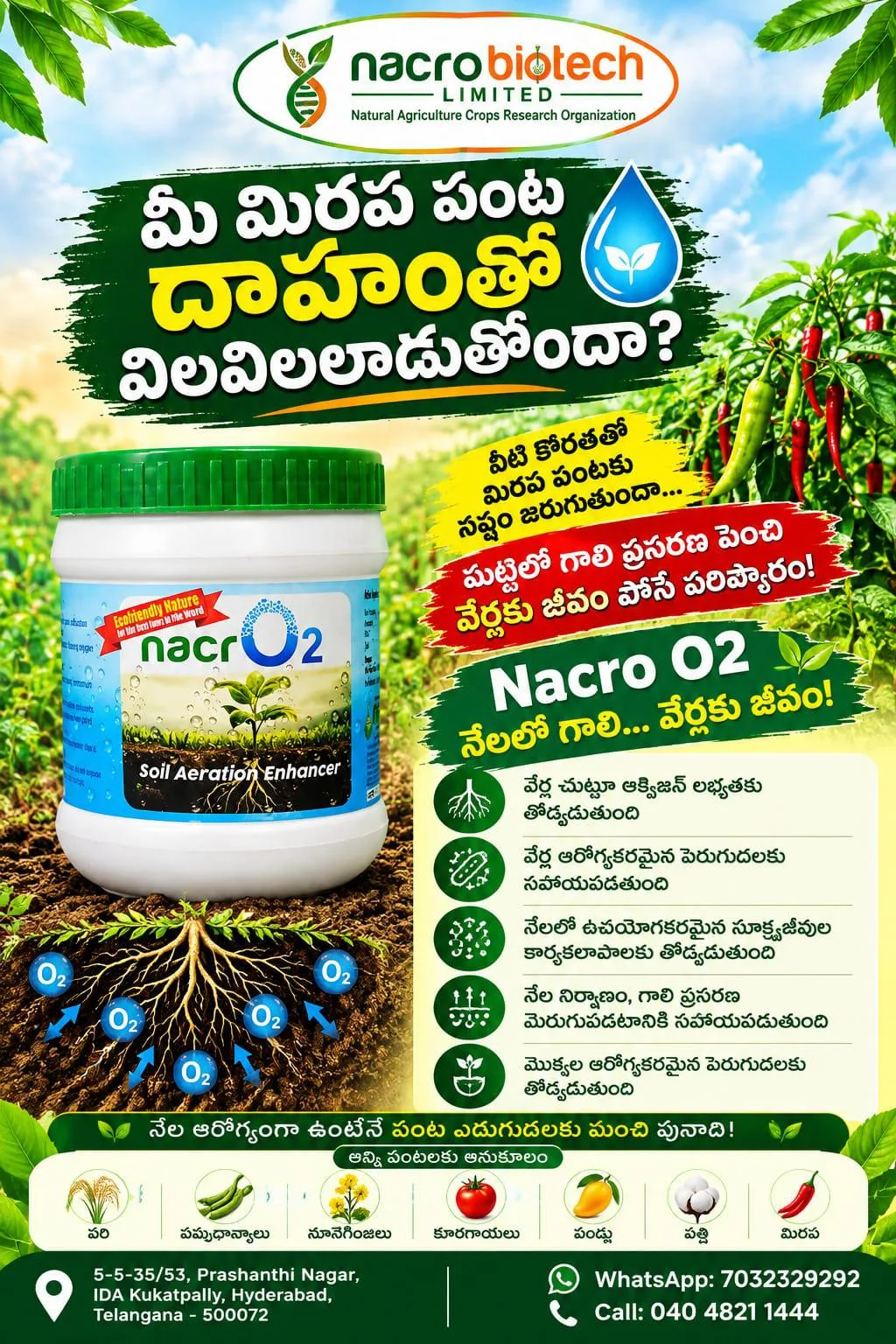 🌶️💧 **మీ మిరప పంట దాహంతో విలవిలలాడుతోందా?**