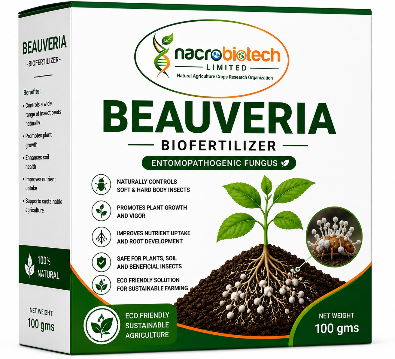 Baeveria Basania