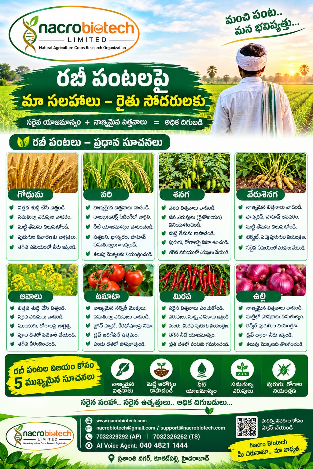 🌾 రబీ పంటల సాగులో రైతులకు ముఖ్యమైన సూచనలు