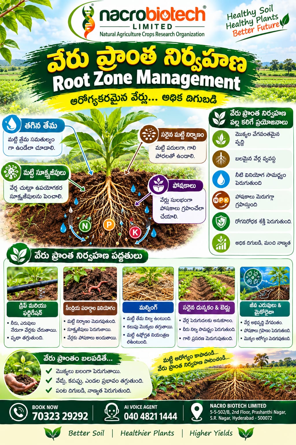 ROOT ZONE