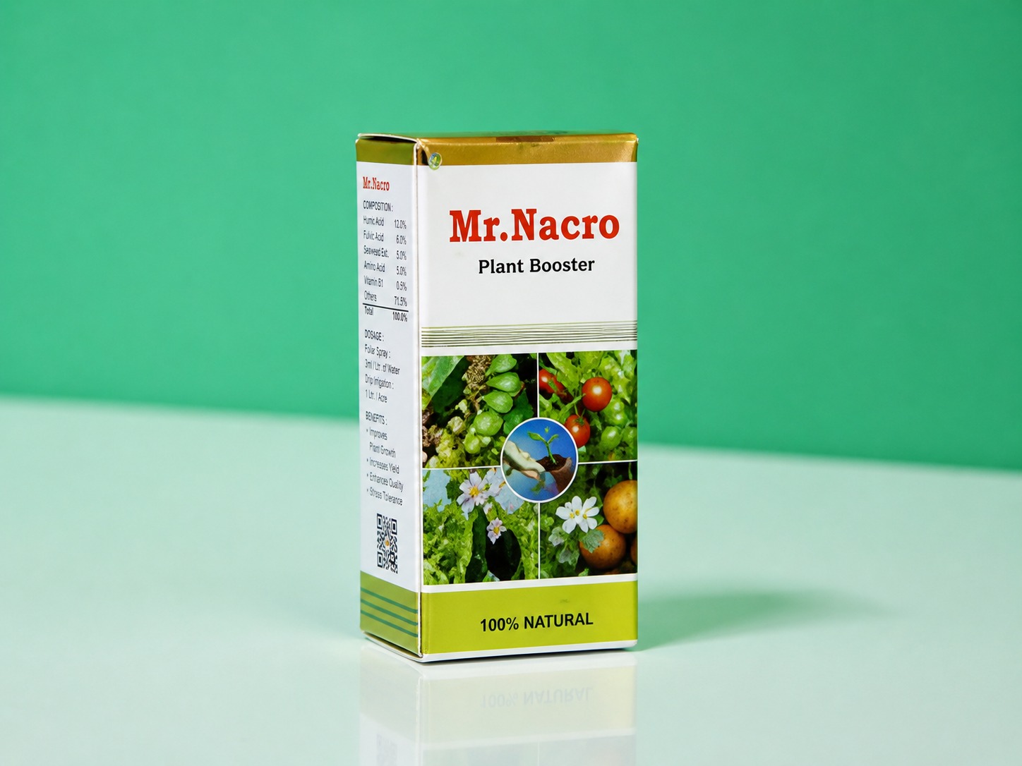 Mr. Nacro (1GM)