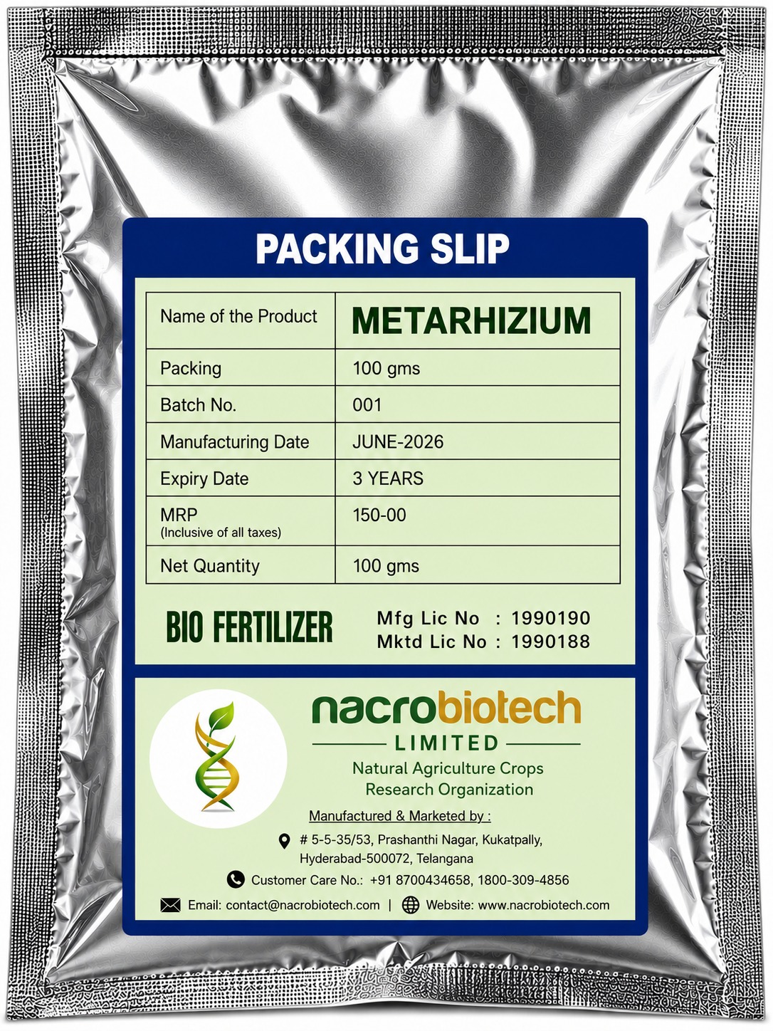 METARHIZIUM (100GMS)