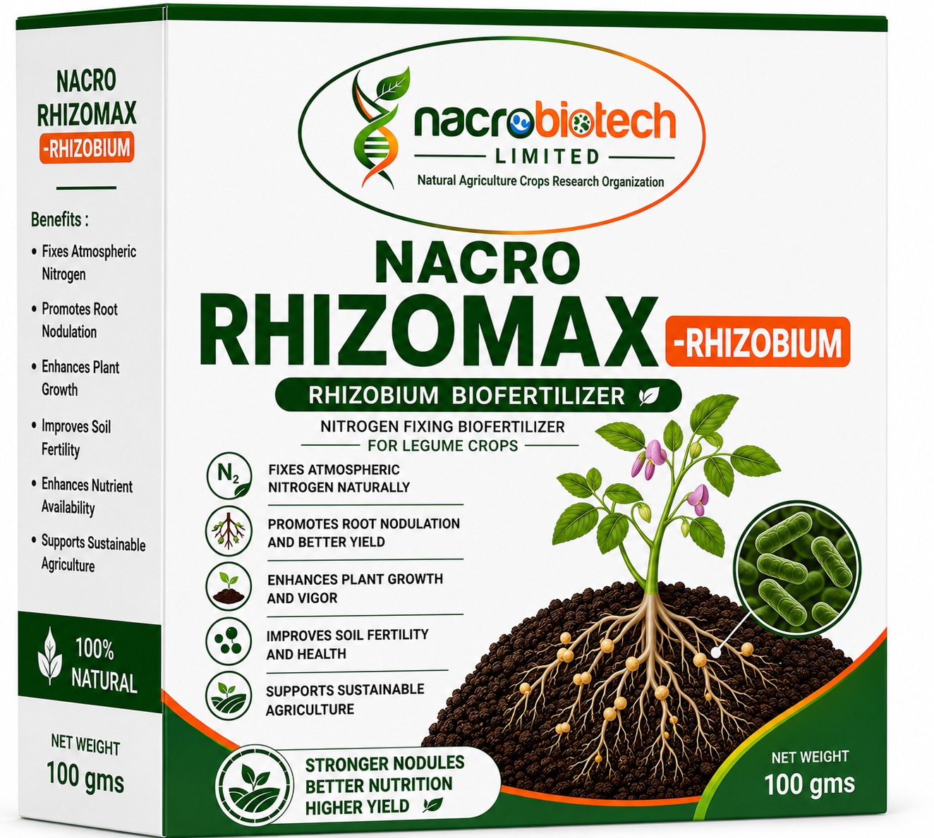 Rhizobium