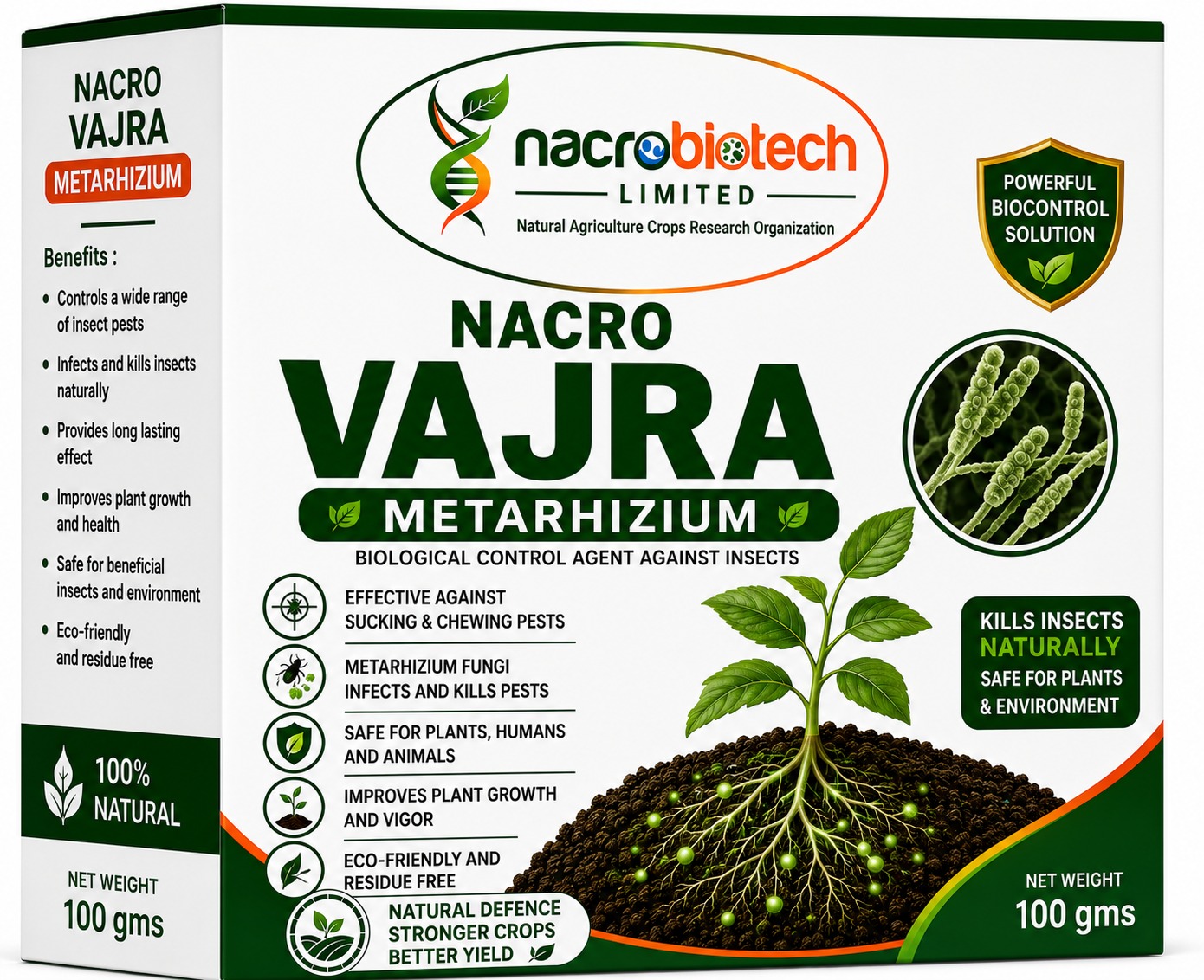 Metarhizium
