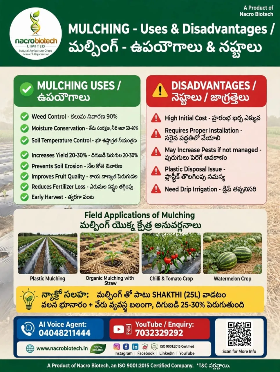 MULCHING - Uses & Disadvantages / మల్చింగ్ - ఉపయోగాలు & నష్టాలు  Uses /