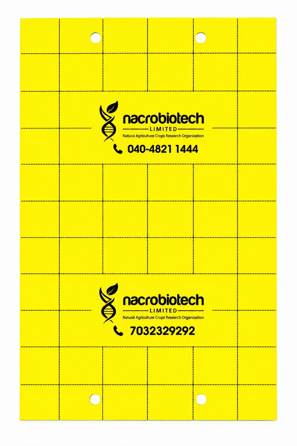 yellow sticky traps