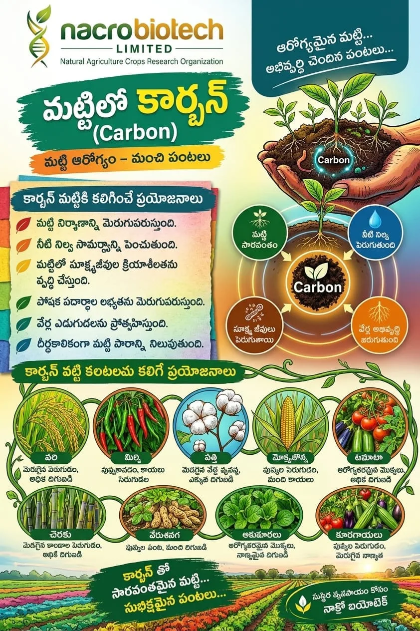 మట్టిలో కార్బన్ (Carbon) మట్టి ఆరోగ్యం – మంచి పంటలకు ఆధారం కార్బన్ మట్టికి ఎందుకు అవసరం?