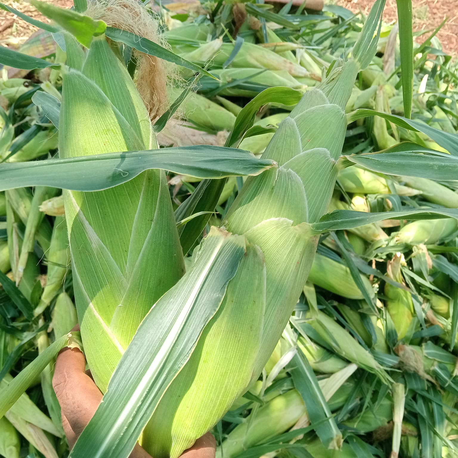KARUNAKAR