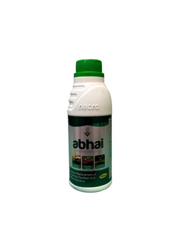 Abhai