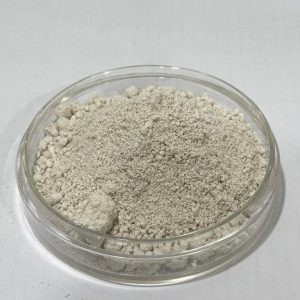 Azospirilum