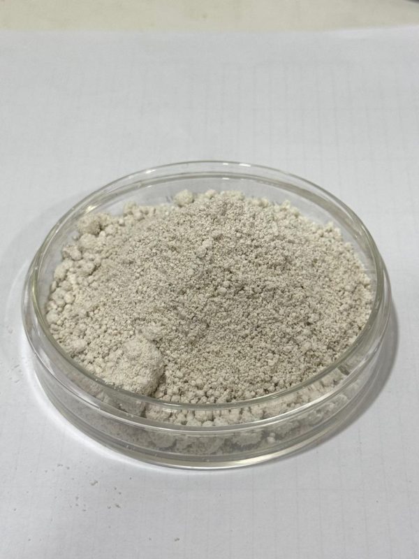 Azospirilum