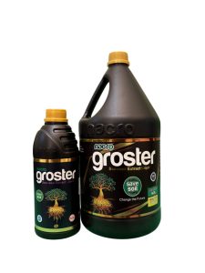 GROSTER