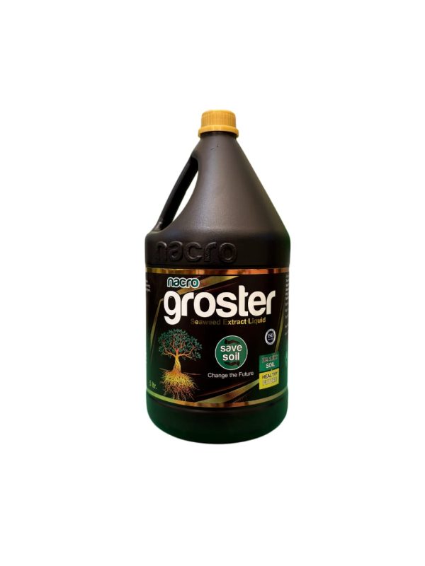 Groster 5L
