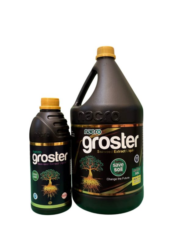 Groster 1lit