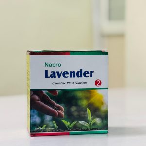 Lavender Kit