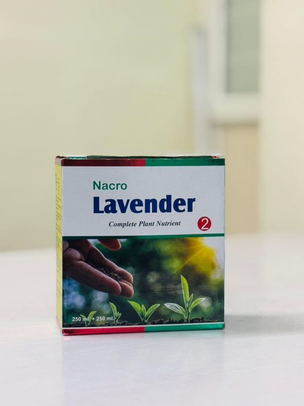 Lavender Kit