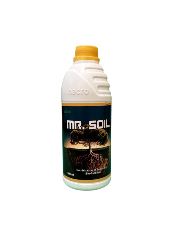Mr.Soil