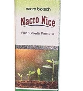 Nacro nice