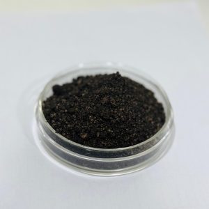 Nacro pseudomonas-pz