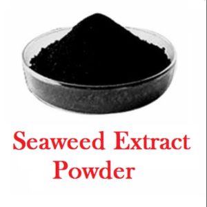 Sea weed