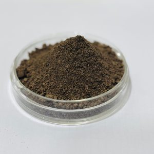 Trichoderma