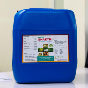 Dhanika Mart Logo - Earthy Greens and Warm Neutrals (2)