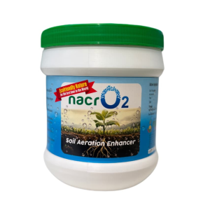 Dhanika Mart Logo - Earthy Greens and Warm Neutrals