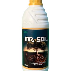 Mr.Soil